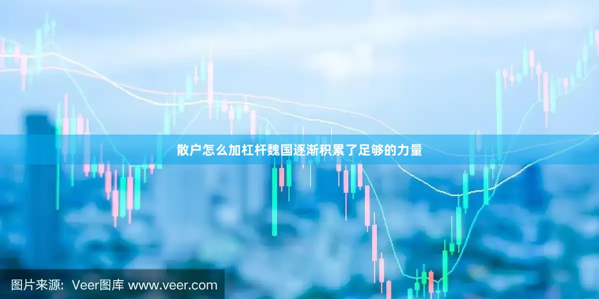 散户怎么加杠杆魏国逐渐积累了足够的力量