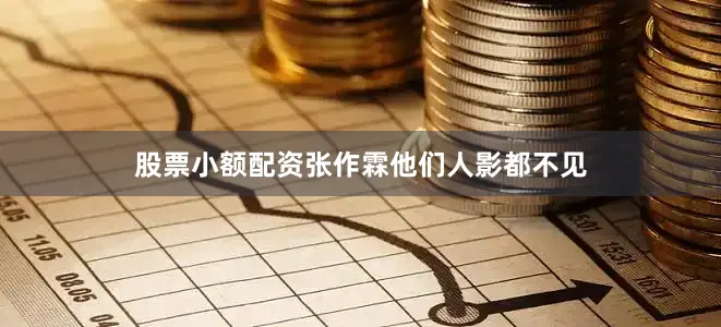 股票小额配资张作霖他们人影都不见